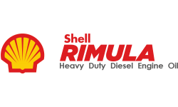 Rimula